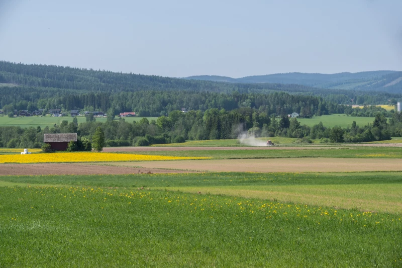 Åkrar och skog