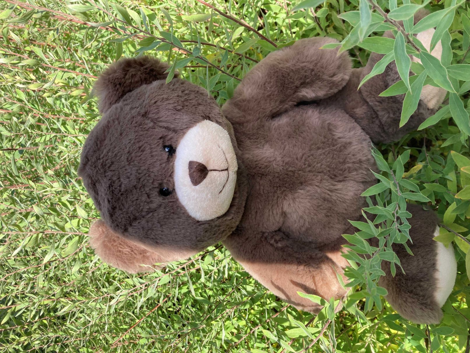 Liten teddybj&ouml;rn