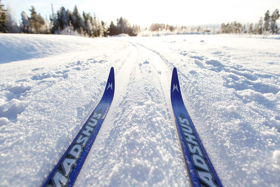 Skidspetsar i ett skidspår