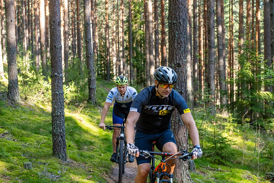 Cyklist i skogen