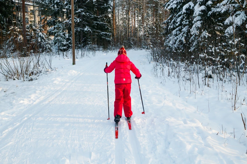 Skidåkare i skidspåret