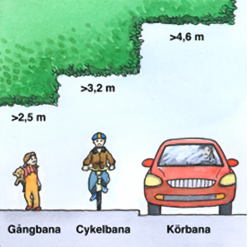 Illustration som visar att man ska lämna minst 2,5 meter fri höjd över gångbana